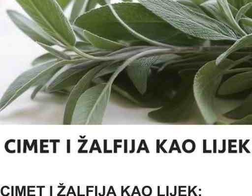 CIMET I ŽALFIJA KAO LIJEK: Zapišite i čuvajte ova tri odlična recepta