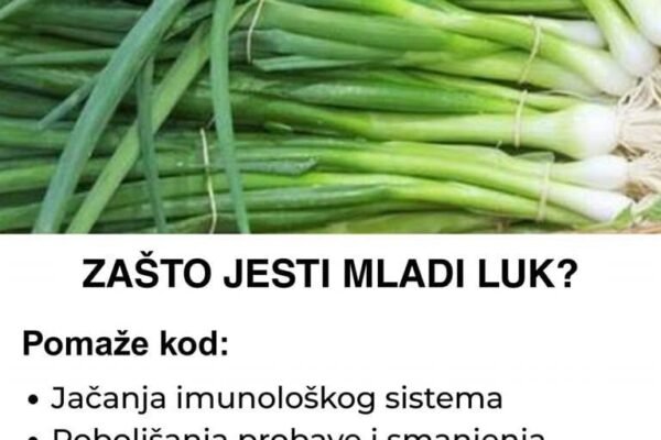 Pored toga što je ukusan, jako je i zdrav – Evo zašto biste trebali jesti mladi luk i kod čega sve pomaže