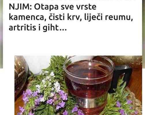 BLAGO ONOM KO POSEGNE ZA NJIM: Otapa sve vrste kamenca, čisti krv, liječi reumu, artritis i giht…
