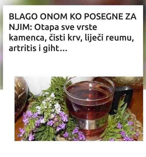 BLAGO ONOM KO POSEGNE ZA NJIM: Otapa sve vrste kamenca, čisti krv, liječi reumu, artritis i giht…