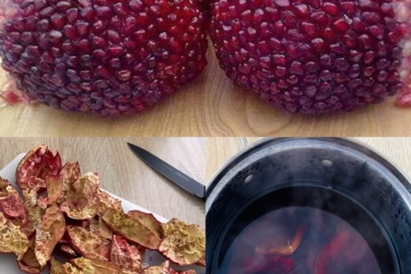 PR0KUHAJTE K0RU NARA I BIT ĆETE NAM ZAHVALNI NA 0V0M RECEPTU ( B0LJE JE 0D SAM0G V0ĆA)