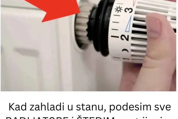 Koji je najbolji način da uštedite novac, a da pritom osigurate da vaš dom ostane adekvatno grijan? Budući da će računi za struju ove godine vjerovatno značajno porasti, svakako je pametno poduzeti korake da ih izbjegnete. Zapamtite, pravilna ventilacija je takođe kritična. Zimska ventilacija je ključna jer sprečava stvaranje kondenzacije na vašim prozorima, što može dovesti do stvaranja buđi i plijesni, što može biti opasno po zdravlje. Kratkotrajna, ali intenzivna ventilacija je neophodna, a ne dugotrajna ventilacija. Prilikom ventilacije, ključni princip je isključiti grijanje u to vrijeme! Samo okrenite dugme i postavite ga na “0”. Zbog toga će termostat izbjeći korištenje energije za regulaciju sobne temperature, čime će spriječiti gubitak topline. Postavite radijator na određene numeričke postavke. Možda ste primijetili brojeve na svom radijatoru, koji su označeni malim strelicama ili štapićima kada okrenete dugme. Međutim, znate li važnost ovih brojeva? Naravno, oni ukazuju na kontrolu temperature, ali možda nećete u potpunosti razumjeti tačnu temperaturu ispod njih. Hajde da razjasnimo situaciju. U ovoj konfiguraciji, temperatura hladnjaka se održava između 6 i 8 °C. Postavljanjem radijatora na nivo 1, sobna temperatura će se održavati na približno 12-13 °C. Kada se postavi na 2, sobna temperatura će dostići 15°C. Podesite na 3. Podešavanjem radijatora na nivo tri, sobna temperatura se može održavati između 18 i 20 °C. Postavljanjem radijatora na nivo 4, možete postići ugodnu temperaturu u rasponu od 22 do 24 °C. Kada se postavi na vrijednost 5, sobna temperatura raste na 28 °C ili više. Odabir radijatora “5” ne osigurava brže zagrijavanje prostorije. Osim toga, ova vrsta aktivnosti može uzrokovati da zrak u vašem domu postane suh, što zahtijeva češću ventilaciju. Dakle, pametno koristite toplinu i pokušajte izbjeći rasipanje. Ako nećete biti u nekoj od prostorija duži vremenski period, postavite radijator na najniži nivo ili potpuno isključite radijator u tom prostoru. Ako još niste odzračili svoj radijator, slijedite ove korake. Vjerujte mi, svako može obaviti ovaj zadatak za samo nekoliko minuta. Šta je potrebno? Šesterokutni ključ Odvijač sa ravnom glavom Tkanina ili posuda za vodu. Prvo postupno isključite grijanje i zaustavite dotok vode u radijator. Podesite regulator (termostat) kako biste omogućili slobodno strujanje zraka. Upotrijebite odvijač da pažljivo olabavite nepovratni ventil (dovod vode) kako biste osigurali optimalan protok. Za novije radijatore ovo je tipičan šraf. Nasuprot tome, stariji radijatori imaju kanale uglavnom skrivene sa strane dovodnih cijevi i dizajnirani su da prihvate navoje imbus ključa. Ispušni ventil treba postepeno otvarati bez upotrebe prevelike sile. Trebali biste slušati šištanje zraka, praćeno blagim zvukom vode koja teče. Koristite krpu ili posudu za sakupljanje vode koja kaplje. Ovaj proces ne bi trebao trajati više od 3 minute. Ako je potrebno, podesite ventil.