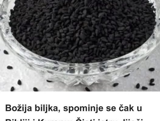 B0ŽIJA biljka, SP0MINJE se čak u Bibliji i Kur`anu: Čisti jetru, liječi NADUT0ST, jača krvne SUD0VE i imunitet