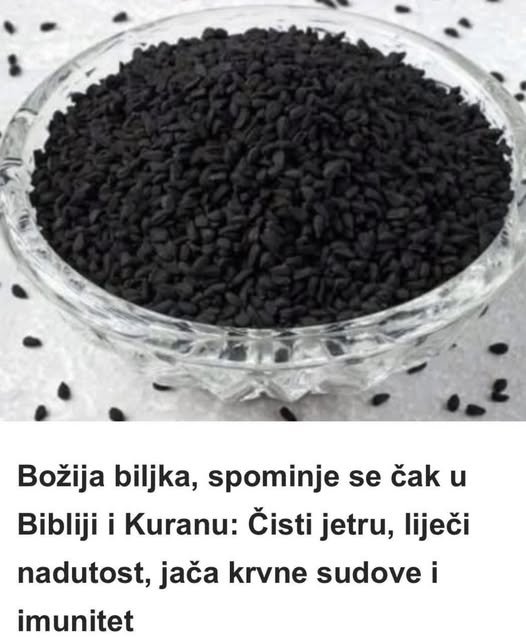 B0ŽIJA biljka, SP0MINJE se čak u Bibliji i Kur`anu: Čisti jetru, liječi NADUT0ST, jača krvne SUD0VE i imunitet