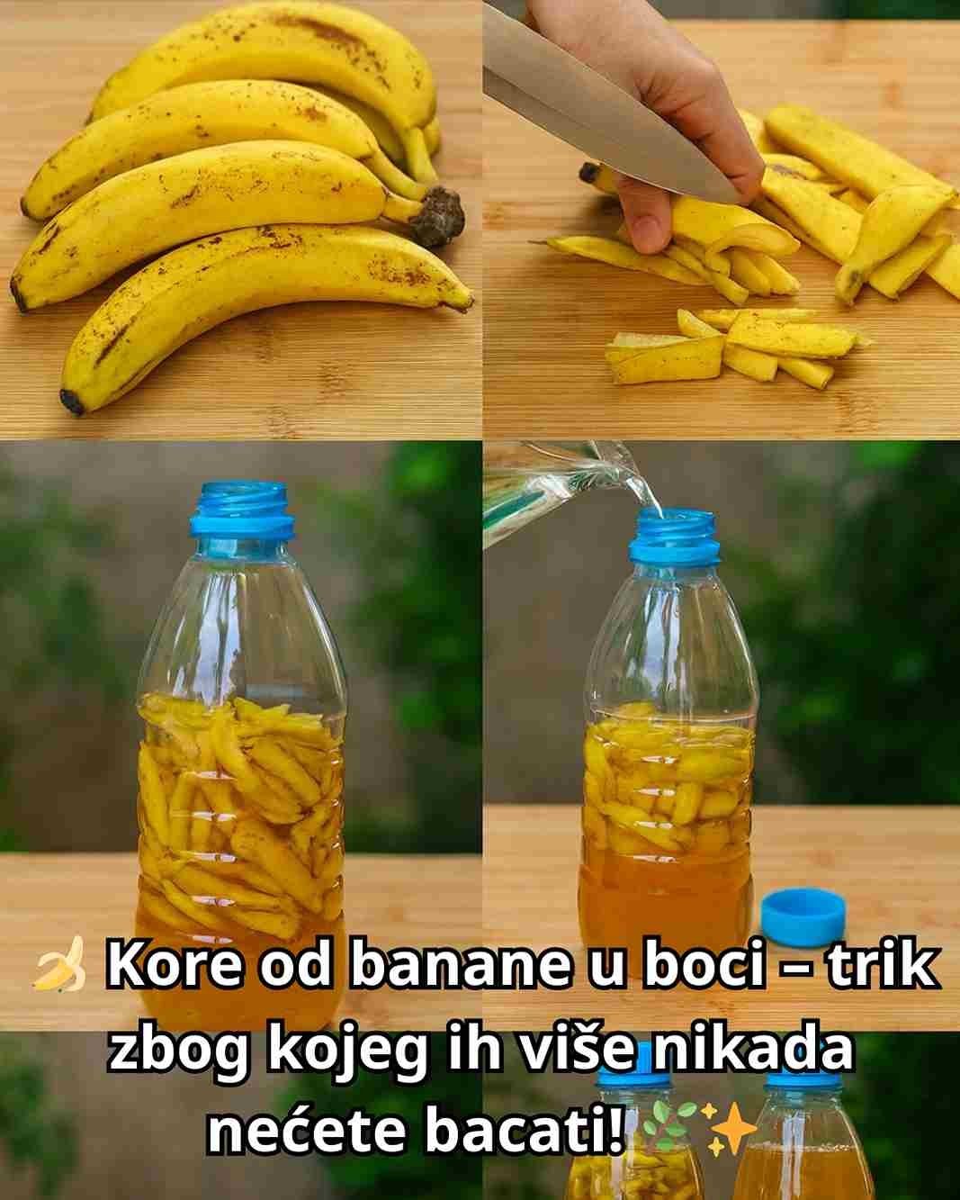 Recikliranje igra ključnu ulogu u očuvanju zdravije okoline, a pritom pomaže i u uštedi novca. Donosimo vam način kako da iskoristite kore od banane, koje se obično bacaju kao otpad, a zapravo imaju veliku vrijednost. Bacanje kora od banane je prava šteta, jer one imaju mnogostruku primjenu. Mogu se koristiti u njezi kose i kože ili kao prirodno đubrivo za biljke. Posebno su cijenjene kao đubrivo jer su bogate vitaminima i mineralima, naročito kalijem i magnezijem, koji jačaju biljke i daju im ljepotu. Osim toga, zbog ovih svojstava često se koriste i u maskama, kremama, regeneratorima pa čak i šamponima. S obzirom na brojne prednosti, važno je ne rasipati ovaj vrijedan resurs. Donosimo vam manje poznat način da iskoristite kore od banane do maksimuma. Kore od banane, kada se pravilno obrade, mogu poslužiti kao efikasan repelent protiv komaraca i drugih dosadnih insekata. Ova metoda nudi potpuno prirodno rješenje, bez upotrebe hemikalija. Potrebni sastojci: 200 ml bijelog vinskog sirćeta (ili jabukovog sirćeta) 1 kora od banane 400 ml vode 200 g šećera 1 plastična flaša od 2 litre Uputstvo: Presijecite plastičnu flašu na pola makazama ili nožem. U jednoj posudi pomiješajte vodu, šećer i sirće dok se ne sjedini. Sipajte smjesu u donji dio flaše i ubacite koru od banane. Postavite flašu na mjesta gdje ima najviše insekata. Smjesu mijenjajte svaka dva dana radi najbolje efikasnosti. Na ovaj način možete otjerati komarce i muhe bez upotrebe hemikalija, štiteći tako i vaš novčanik i okolinu. Prirodno, jednostavno i vrlo učinkovito! Isprobajte i sami – i uživajte u rezultatima! Sretno recikliranje! 🌿🍌