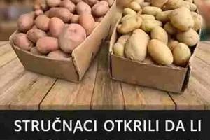 Zaključak I crveni i bijeli krompir mogu biti dio zdrave ishrane. Ipak, ako birate između ta dva, crveni krompir se smatra nešto zdravijim izborom zbog većeg sadržaja antioksidansa i povoljnijeg utjecaja na šećer u krvi. Najvažnije je da ga pripremate na zdrav način i konzumirate umjereno.