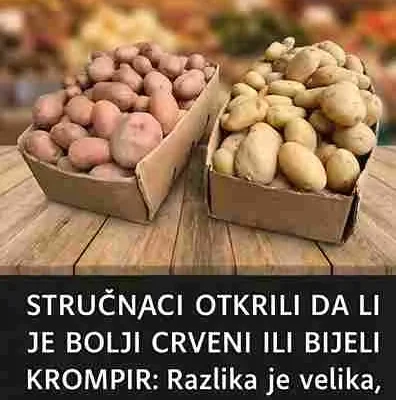 Zaključak I crveni i bijeli krompir mogu biti dio zdrave ishrane. Ipak, ako birate između ta dva, crveni krompir se smatra nešto zdravijim izborom zbog većeg sadržaja antioksidansa i povoljnijeg utjecaja na šećer u krvi. Najvažnije je da ga pripremate na zdrav način i konzumirate umjereno.