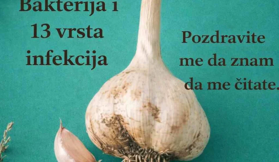 Zdravstvene koristi bijelog luka Bijeli luk može pomoći u jačanju imuniteta Može imati blago antibakterijsko i antivirusno djelovanje Može doprinijeti snižavanju krvnog pritiska Može pomoći kod blago povišenog holesterola Podržava zdravlje srca i krvnih sudova Doprinosi boljoj probavi Efekti zavise od količine, načina konzumacije i općeg zdravstvenog stanja osobe. Kako pravilno koristiti bijeli luk Najveća korist dobija se kada se bijeli luk zgnječi i ostavi 5 do 10 minuta prije konzumacije. Time se aktivira alicin. Preporučena količina za odraslu osobu je 1 do 2 čehna dnevno. Može se jesti sirov, dodati u salate, umake ili konzumirati uz med. Recept 1: Bijeli luk i med za imunitet Sastojci 5 do 6 čehna bijelog luka 200 ml prirodnog meda Priprema Bijeli luk nasjeckati ili lagano zgnječiti. Staviti u čistu staklenu teglu i preliti medom. Zatvoriti i ostaviti 24 sata prije prve upotrebe. Način upotrebe Uzimati 1 kašičicu dnevno, najbolje ujutro. Recept 2: Čaj od bijelog luka Sastojci 1 zgnječen čehno bijelog luka 250 ml vode Par kapi limuna Priprema Vodu prokuhati, dodati bijeli luk i kuhati 3 do 5 minuta. Procijediti i dodati limun. Piti jednom dnevno. Važne napomene Osobe koje koriste lijekove za razrjeđivanje krvi trebaju biti oprezne. Ne preporučuje se pretjerivanje jer može izazvati želučane tegobe. Trudnice i osobe sa hroničnim bolestima trebaju se posavjetovati s ljekarom. Često postavljana pitanja Da li bijeli luk zaista ubija sve bakterije? Ne. Ima antibakterijska svojstva, ali nije univerzalni lijek. Da li je sirov bolji od kuhanog? Sirovi bijeli luk ima jače djelovanje jer toplota smanjuje količinu aktivnih spojeva. Koliko dugo se može koristiti? Može se koristiti svakodnevno u umjerenim količinama kao dio ishrane.