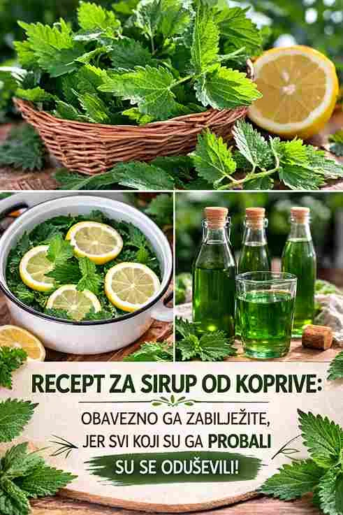 Mnogi koji su probali ovaj recept kažu da su oduševljeni njegovim okusom i jednostavnom pripremom. Osim što je ukusan, ovaj domaći sirup može biti lijep način da iskoristite blagodati prirode.