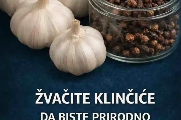 Moguće koristi konzumiranja 1–2 karanfilića dnevno 1. Podrška probavi Može pomoći kod nadutosti i sporije probave. Herbeauty now Can You Recognize These Celebrities? See Them Now 425 × 2. Antioksidativna zaštita Pomaže u borbi protiv slobodnih radikala koji doprinose starenju ćelija. 3. Oralno zdravlje Tradicionalno se koristi za osvježavanje daha i ublažavanje blage zubobolje. 4. Blaga podrška imunitetu Zbog svojih prirodnih spojeva može podržati odbrambeni sistem organizma. Važno upozorenje Iako karanfilić ima korisna svojstva, ne može spriječiti niti izliječiti ozbiljne bolesti poput dijabetesa, srčanih oboljenja ili visokog krvnog pritiska. Prekomjerna konzumacija može izazvati iritaciju želuca ili druge nuspojave. Najbolji pristup zdravlju i dalje uključuje: Uravnoteženu ishranu Redovnu fizičku aktivnost Dovoljno sna Redovne ljekarske kontrole