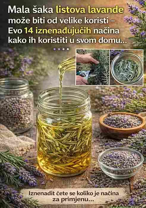 5. Dodatak jelima (u malim količinama) Sitno nasjeckani listovi mogu se dodati u marinade, pečeno povrće ili ulja. Koristite ih umjereno zbog jačeg, blago gorkog okusa. 6. Prirodno sredstvo za čišćenje Kombinacija listova lavande i bijelog sirćeta daje efikasno i mirisno sredstvo za čišćenje doma bez hemikalija. Zaključak Listovi lavande nisu otpad – oni su pravi mali prirodni saveznik. Bilo da ih koristite za zdravlje, čišćenje ili miris doma, ova biljka nudi mnogo više nego što većina ljudi misli. Iskoristite njen puni potencijal na jednostavan i prirodan način. 🌿