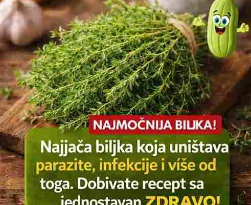 Kako koristiti ovu biljku na siguran način? Najjednostavniji način je priprema čaja ili vode od karanfilića. Nekoliko komada se potopi u toplu vodu i ostavi da odstoji. Ovaj napitak se pije u malim količinama, najbolje jednom dnevno. Ipak, važno je naglasiti da prirodni lijekovi nisu zamjena za medicinski tretman, posebno kod ozbiljnih infekcija. Korištenje prirodnih biljaka može biti odličan dodatak zdravom načinu života, ali uvijek treba biti oprezan i informisan. Umjerenost i pravilna upotreba su ključ za postizanje najboljih rezultata.