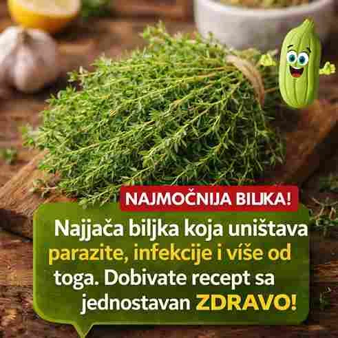 Kako koristiti ovu biljku na siguran način? Najjednostavniji način je priprema čaja ili vode od karanfilića. Nekoliko komada se potopi u toplu vodu i ostavi da odstoji. Ovaj napitak se pije u malim količinama, najbolje jednom dnevno. Ipak, važno je naglasiti da prirodni lijekovi nisu zamjena za medicinski tretman, posebno kod ozbiljnih infekcija. Korištenje prirodnih biljaka može biti odličan dodatak zdravom načinu života, ali uvijek treba biti oprezan i informisan. Umjerenost i pravilna upotreba su ključ za postizanje najboljih rezultata.