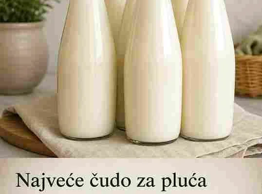 Potencijalna tradicionalna upotreba Podrška jetri i organizmu U narodnoj praksi se kozja surutka često koristi kao napitak koji “rasterećuje” organizam. Vjeruje se da može pomoći probavi, radu jetre i opštem osjećaju lakoće i energije, posebno kod osoba koje se osjećaju umorno ili preopterećeno nezdravom ishranom. Podrška disajnim putevima Tradicionalno se spominje i kao napitak koji može pomoći osobama koje imaju problema sa disanjem, iritacijom grla ili nakupljanjem sluzi, posebno u periodima prehlada i alergija. Dodatne koristi za tijelo Probava i crijeva Može podržati zdrav rad crijeva i olakšati osjećaj težine nakon jela. Kosti i minerali Zbog kalcija i fosfora doprinosi zdravlju kostiju, što je posebno važno za starije osobe. Kontrola težine Niskokalorična je i može pružiti osjećaj sitosti, pa se često koristi kao lagani napitak u ishrani. Imunitet Redovna, umjerena konzumacija može doprinijeti opštem jačanju organizma. Kako se konzumira Najčešće se pije ujutro na prazan želudac, oko 200–500 ml dnevno. Može se piti sama ili uz malo meda za blaži ukus. Važno je početi s manjim količinama i pratiti reakciju tijela. Važna napomena Kozja surutka nije lijek i ne može zamijeniti medicinsku terapiju. Osobe sa problemima bubrega, intolerancijom na laktozu ili hroničnim bolestima trebaju se posavjetovati s ljekarom prije redovne upotrebe. Zaključak Kozja surutka je jednostavan, prirodan napitak koji je dugo bio prisutan u tradicionalnoj ishrani. Danas ponovo dobija pažnju kao lagana nutritivna podrška organizmu, ali je važno koristiti je umjereno i u okviru uravnoteženog načina života.