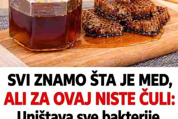 https://blog.balkanfit.org/