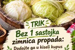 Bez ovih važnih koraka kiseli kupus može se pokvariti: Kako ga pravilno pripremiti da traje do proljeća